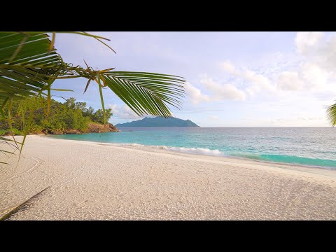🏝 Pacific Island Paradise in Seychelles. Ocean 4K UHD