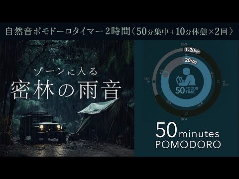 [50-minute Pomodoro] Concentrate with the sound of rain in the jungle!