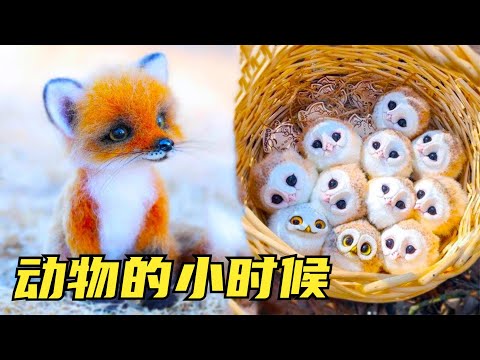 9只世界上最萌的小动物，狐狸和猫头鹰不可能这么可爱？