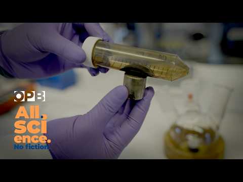 Scientists use magnetic heat to cook and destroy tumors ⚡🧲 | All Science No Fiction