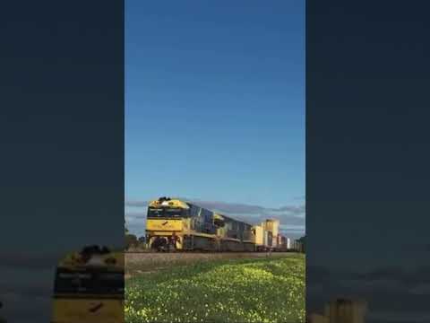 4MP7 Long Plains 22/07/2020