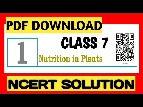 Nutrition in Animals Ncert Solution Class 7 Chapter-2