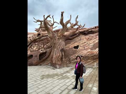 2024/5/20~5/30 大美新疆之旅 Part-2