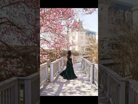 Spring in bloom under the magnolia tree! The Biltmore Estate is beautiful this time of year! #spring