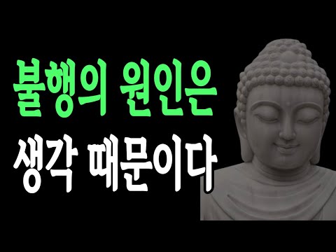 불행의 원인은 생각이 너무 많아서 이다ㅣ평온한 인생을 사는 비결ㅣ석가모니ㅣ삶의 지혜ㅣ인생 명언ㅣ인간관계ㅣ냉철한 격언 조언ㅣ철학ㅣ오디오북