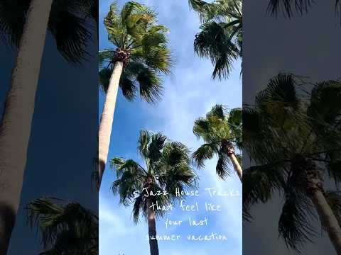 5 Jazz House Tracks that feel like your last summer vacation 🌊🌴🌞