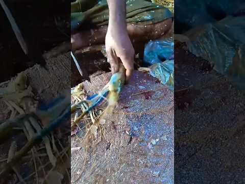 Lobster cutting from end to end￼#lobster #seafood #lobsterairtawar #foodie #fdang #crayfish #redcla