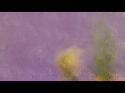 TENDRE / AIM (AUDIO)