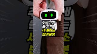 주머니에 들어가는 초미니 반려로봇