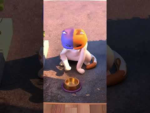 Poor Kit wants some food... wait until the end! 😈