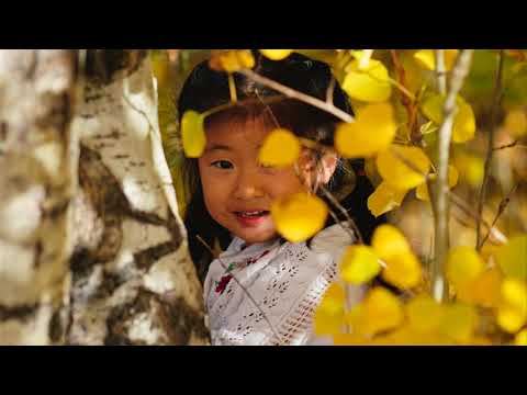 The Nguyen's Family Fall Foilage Drive