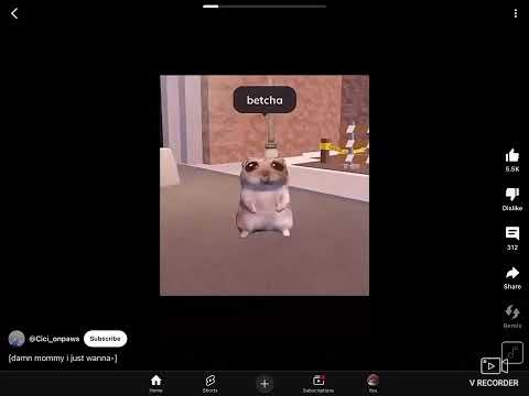 Day:1 of stealing videos(I’m not the owner of this video :D) #hamster