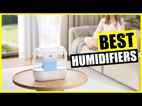 TOP: Best Humidifier for Bedroom [2024]