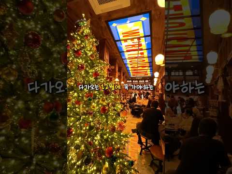 크리스마스 분위기 성수 카페 모음.zip
