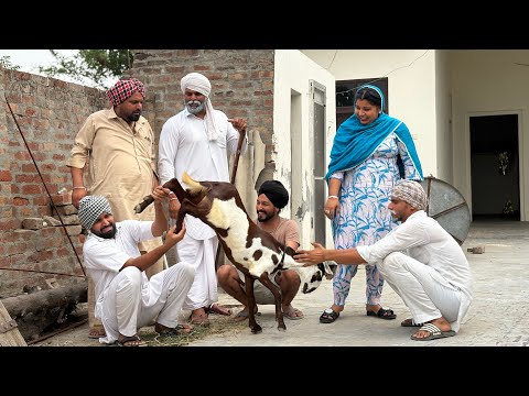 Dp master vlog | Theater junction vlog | simmu vlogs | dhutta |jassa | beera