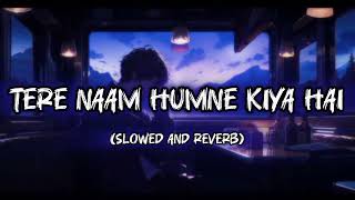 Tere Naam|Hindi song|lofi song