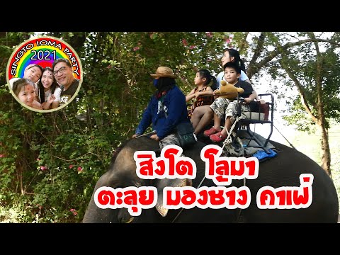 มองช้าง คาเฟ่ เพิ่มความสดใส ใหม่กว่าเดิม