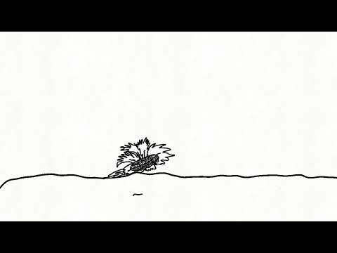 Sunflower animation🌻