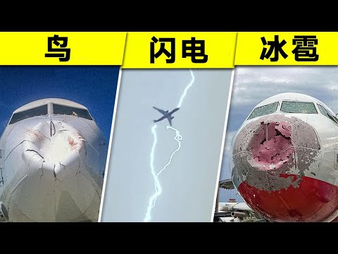 没人告诉你！飞机遇到这些反而没事？5个乘客从不知道的飞行秘密