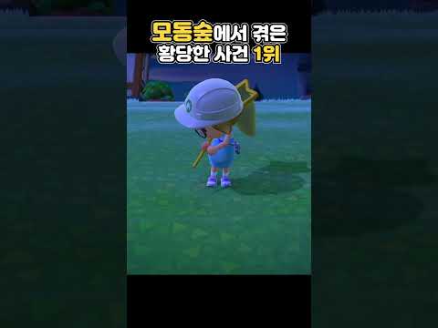 모동숲에서 겪은 황당한 일ㅋㅋㅋㅋㅋ