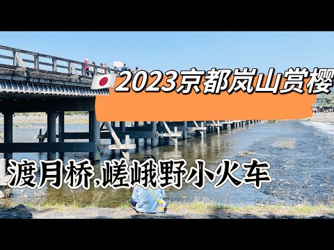 🇯🇵2023京都岚山赏樱，渡月桥散步，坐嵯峨野小火车