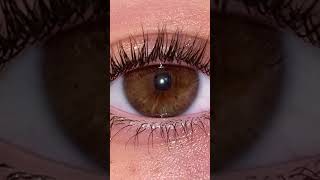 I hate my eyes 😭 #browneyes  #eyes #fyp #fypp #shorts #viral