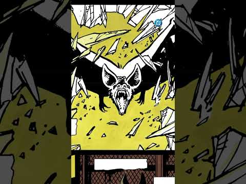 Batman's Origin Story | DC