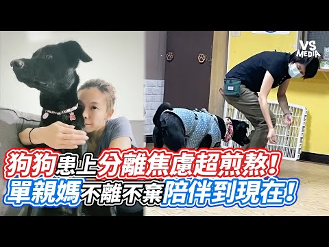 狗狗患上分離焦慮超煎熬！單親媽不離不棄陪伴到現在！｜VS MEDIAｘ@langlangdontcry