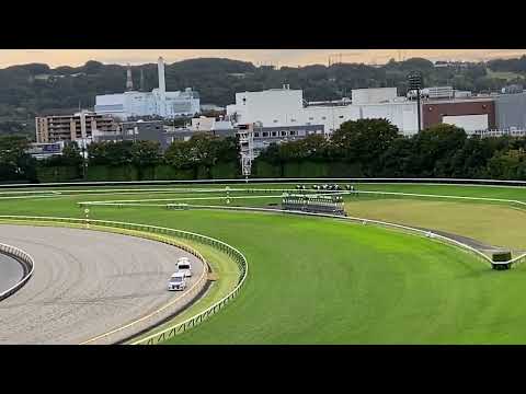 【観客目線・ほぼ無観客】第162回 天皇賞（秋）勝ち馬アーモンドアイ 2020.11.1