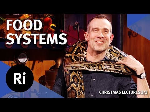The big food hack - 2024 Christmas Lectures with Chris van Tulleken 3/3