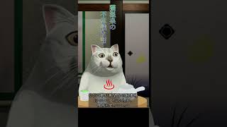 【ショート怪談 26】霧の中の光　#ショート怪談