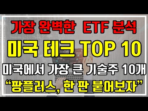 [가장 완벽한 ETF 분석] 미국 테크 TOP 10. 미국에서 가장 큰 기술주 10개. “팡플러스, 한 판 붙어보자”