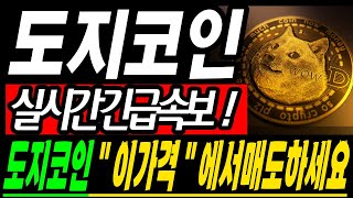 [도지코인 코인전망] 도지 아직 파시면 안됩니다! "이 가격"이 매도 하세요! #도지코인 #도지코인전망 #도지코인시세 #도지코인실시간