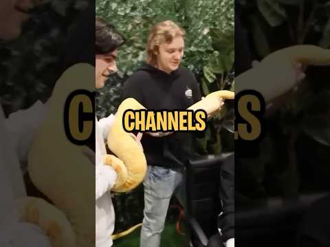 MrBeast Might Go Broke...