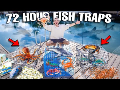 72 HOUR FISH TRAP Catches EXOTIC FISH and SEA CREATURES!