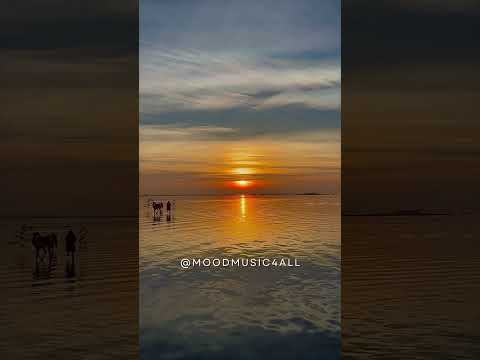Meditation music with a beautiful sunset!