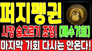 [퍼지펭귄 코인] 시장의 숨고르기 조정! 마지막 세일가 매수기회! 다시 오지 않을 기회!! 절대 후회 안합니다! #퍼지펭귄
