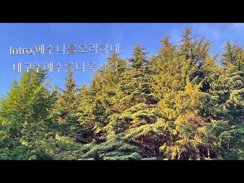(Intro-예수 나를 오라 하네) 내 구주 예수를 오케스트라편곡