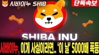 [시바이누 전망] 대박입니다! 홀더분들 모두 축하드립니다! #업비트시황 #코인시황 #급등코인추천 #시바이누대응