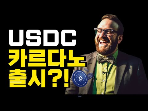 카르다노 에이다 법정화폐담보 스테이블코인을 위한 움직임?