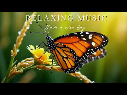 🌫️ Banish Restless Hours | Misty Trails Tranquil Piano | Oxy Music