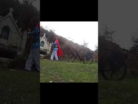 Libéré&missionné le🎶barde découvre son destrier
