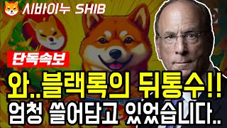 [시바이누 대응] 내일 오후 2시, 시바이누 250배 폭발..코인베이스 글로벌 상장