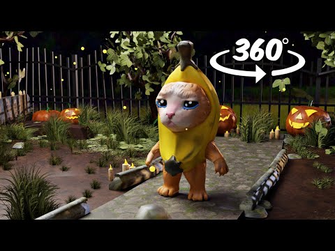 360° BANANA CAT in Real Life! VR Video