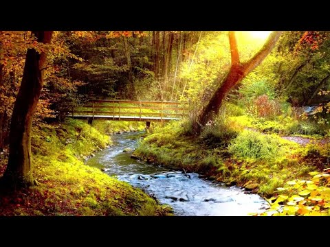 Relaxing Piano Music, Water Sounds, Birds Singing ׀ Ideal for Stress Relief and Healing