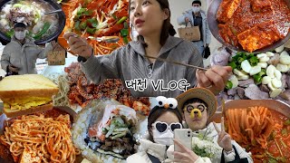[양념면편] 음식이 유잼..🍜대전 여행 먹방브이로그(두부두루치기,떡반,닭매운탕,소국밥,소보로김밥,얼큰칼국수,잔치국수,낙지볶음,만두) KOREAN FOOD MUKBANG VLOG