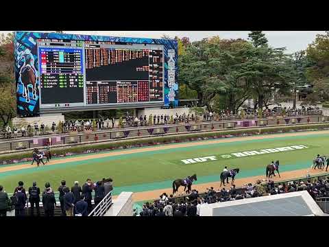 【ほぼ無観客パドック】第162回 天皇賞（秋）勝ち馬アーモンドアイ 2020.11.1