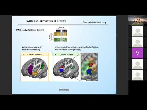 NEUROLINGUISTICS Class 11