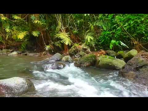 Relaxing River Sound calming the soul, for sleeping, stress relief, for studying, for yoga