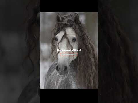 Winter Horse Soundtrack